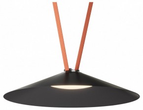 Накладной светильник Denkirs Belty Flow DK5569-BK в Надыме - nadym.ok-mebel.com | фото 2