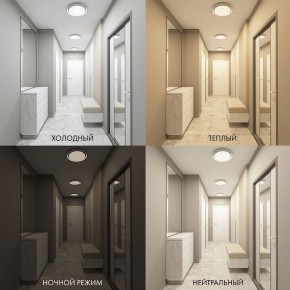 Накладной светильник Denkirs Cany DK6516-WH в Надыме - nadym.ok-mebel.com | фото 2