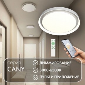 Накладной светильник Denkirs Cany DK6516-WH в Надыме - nadym.ok-mebel.com | фото 4