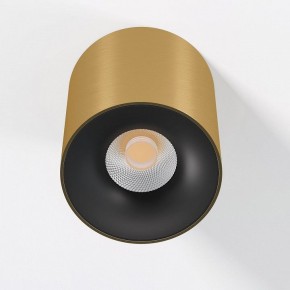 Накладной светильник Elektrostandard Primo 25116/LED в Надыме - nadym.ok-mebel.com | фото 2