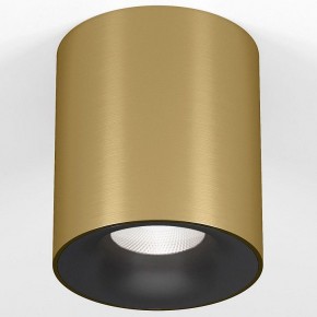 Накладной светильник Elektrostandard Primo 25116/LED в Надыме - nadym.ok-mebel.com | фото 2