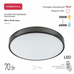 Накладной светильник Эра Классик SPB-6-70-RC Liburn в Надыме - nadym.ok-mebel.com | фото 10