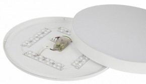 Накладной светильник Эра Relict Relict 48 Pult SPB-6-60-RC WH в Надыме - nadym.ok-mebel.com | фото 11
