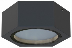 Накладной светильник Favourite Fantum 4667-1U в Надыме - nadym.ok-mebel.com | фото