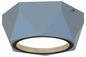 Накладной светильник Favourite Fantum 4669-1U в Надыме - nadym.ok-mebel.com | фото