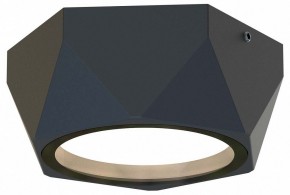 Накладной светильник Favourite Fantum 4670-1U в Надыме - nadym.ok-mebel.com | фото