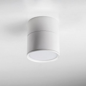Накладной светильник Lightstar Acuto 215886 в Надыме - nadym.ok-mebel.com | фото 3