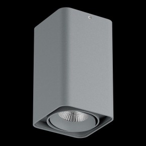 Накладной светильник Lightstar Monocco 052139-IP65 в Надыме - nadym.ok-mebel.com | фото 2