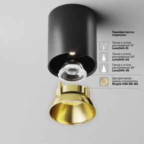 Накладной светильник Maytoni Alfa LED C064CL-12W4K-RD-B в Надыме - nadym.ok-mebel.com | фото 3
