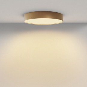 Накладной светильник Maytoni Zon C032CL-45W2.7K-RD-MG в Надыме - nadym.ok-mebel.com | фото 4