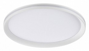 Накладной светильник Sonex Beta 7749/60L в Надыме - nadym.ok-mebel.com | фото