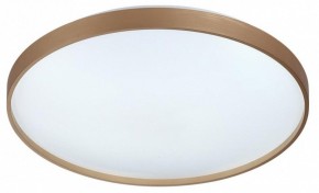 Накладной светильник Sonex Gaby 7783/EL в Надыме - nadym.ok-mebel.com | фото 4