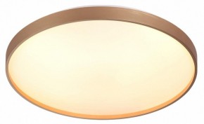 Накладной светильник Sonex Gaby 7783/EL в Надыме - nadym.ok-mebel.com | фото 5