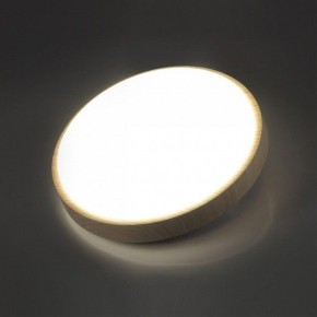 Накладной светильник Sonex Losta 7607/CL в Надыме - nadym.ok-mebel.com | фото 3