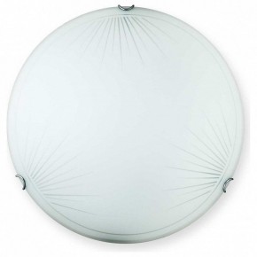 Накладной светильник TopLight Wifa TL9142Y-00WH в Надыме - nadym.ok-mebel.com | фото