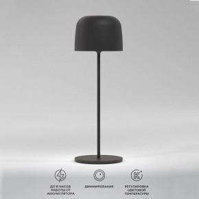 Настольная лампа декоративная Elektrostandard Bitty a069002 в Надыме - nadym.ok-mebel.com | фото 2