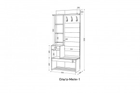 ОЛЬГА-МИЛК Прихожая (модульная) в Надыме - nadym.ok-mebel.com | фото 2