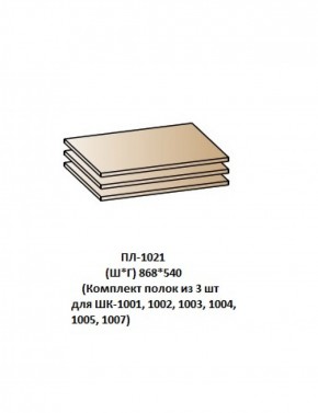 ПЛ-1021 (Комплект полок из 3 шт для ШК-1001, 1002, 1003, 1004, 1005, 1007) в Надыме - nadym.ok-mebel.com | фото