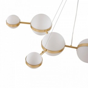 Подвесная люстра Favourite Asterismo 4448-8P в Надыме - nadym.ok-mebel.com | фото 7