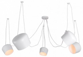 Подвесная люстра Lussole Shirley LSP-8175 в Надыме - nadym.ok-mebel.com | фото
