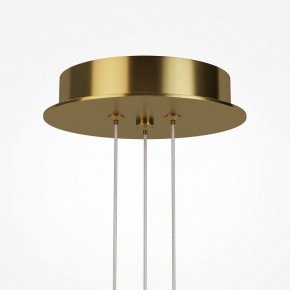Подвесная люстра Maytoni Arana MOD401PL-L108BS3K в Надыме - nadym.ok-mebel.com | фото 7