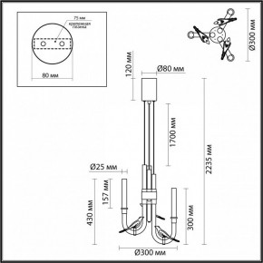 Подвесная люстра Odeon Light Lark 5431/6L в Надыме - nadym.ok-mebel.com | фото 5