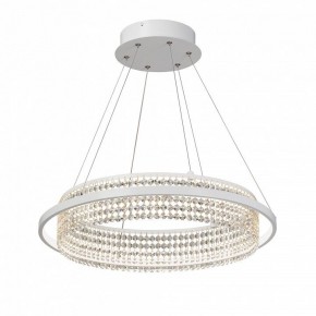 Подвесная люстра Vitaluce V5400 V5400-0/1S в Надыме - nadym.ok-mebel.com | фото 2