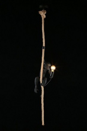 Подвесной светильник Aployt Magali APL.309.16.01 в Надыме - nadym.ok-mebel.com | фото 3