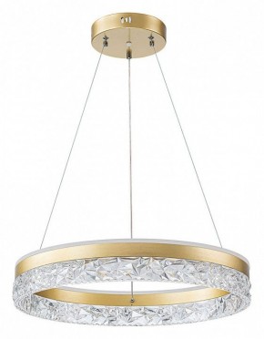 Подвесной светильник Arte Lamp Apollo A2549SP-75GO в Надыме - nadym.ok-mebel.com | фото 2