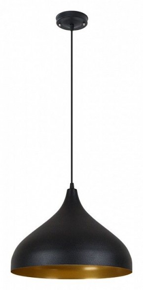 Подвесной светильник Arte Lamp Carmel A7076SP-1BK в Надыме - nadym.ok-mebel.com | фото 2