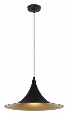 Подвесной светильник Arte Lamp Carmel A7080SP-1BK в Надыме - nadym.ok-mebel.com | фото 2