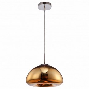 Подвесной светильник Arte Lamp Swift A8041SP-1GO в Надыме - nadym.ok-mebel.com | фото 2