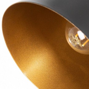 Подвесной светильник Arte Lamp Thomas A7032SP-1BK в Надыме - nadym.ok-mebel.com | фото 5