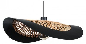 Подвесной светильник Arte Lamp Woodstock A7059SP-1BK в Надыме - nadym.ok-mebel.com | фото