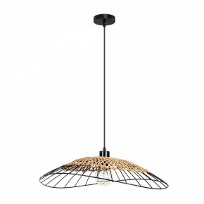 Подвесной светильник Arte Lamp Woodstock A7061SP-1BK в Надыме - nadym.ok-mebel.com | фото 2
