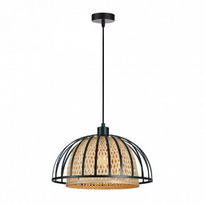 Подвесной светильник Arte Lamp Woodstock A7071SP-1BK в Надыме - nadym.ok-mebel.com | фото