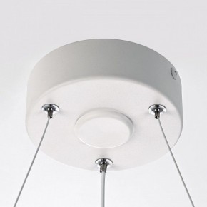 Подвесной светильник Citilux Trio CL215B050 в Надыме - nadym.ok-mebel.com | фото 10