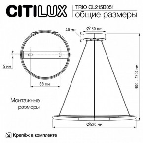 Подвесной светильник Citilux Trio CL215B051 в Надыме - nadym.ok-mebel.com | фото 8