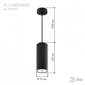 Подвесной светильник Эра  PL12 GX53 BK/SL в Надыме - nadym.ok-mebel.com | фото 8