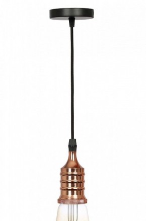 Подвесной светильник Эра PL13 Б0048525 в Надыме - nadym.ok-mebel.com | фото 3