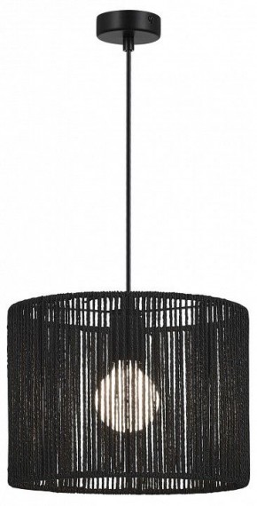 Подвесной светильник EVOLUCE ETTAN SLE6024-403-01 в Надыме - nadym.ok-mebel.com | фото 2