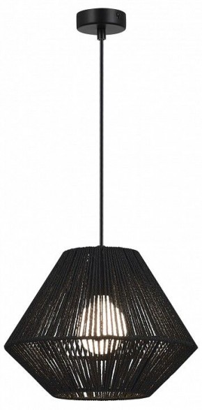 Подвесной светильник EVOLUCE ETTAN SLE6025-403-01 в Надыме - nadym.ok-mebel.com | фото 2
