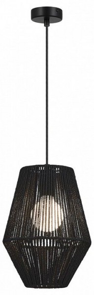 Подвесной светильник EVOLUCE ETTAN SLE6025-413-01 в Надыме - nadym.ok-mebel.com | фото 2