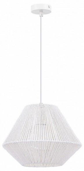 Подвесной светильник EVOLUCE ETTAN SLE6025-503-01 в Надыме - nadym.ok-mebel.com | фото 4