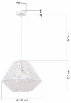 Подвесной светильник EVOLUCE ETTAN SLE6025-503-01 в Надыме - nadym.ok-mebel.com | фото 6