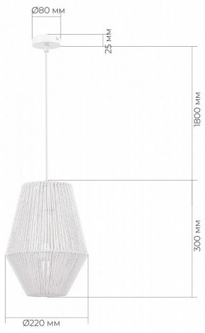Подвесной светильник EVOLUCE ETTAN SLE6025-513-01 в Надыме - nadym.ok-mebel.com | фото 6