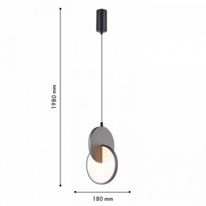 Подвесной светильник F-promo Grahan 4609-1P в Надыме - nadym.ok-mebel.com | фото 4
