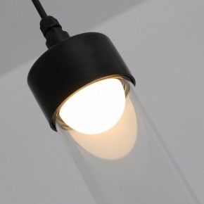 Подвесной светильник Favourite Outdoor 4702-1P в Надыме - nadym.ok-mebel.com | фото 7