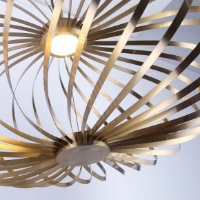 Подвесной светильник Favourite Spring 4680-1P в Надыме - nadym.ok-mebel.com | фото 5