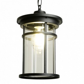 Подвесной светильник Feron PL765 51819 в Надыме - nadym.ok-mebel.com | фото 3